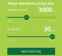 Pożyczka do 3000 zł na KONTO , przez internet lub telefon