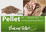 Pellet Pelet Drzewny Iglasty Producent Podkarpacie 6 mm