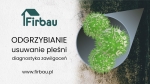 ODGRZYBIANIE BUDYNKÓW USUWANIE PLEŚNI