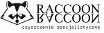 Raccon czyszczenie specjalistyczne, prace alpinistyczne