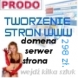 Wykonanie strony internetowej www Poznań tanio cena 298 zł. (brutto) !