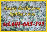 Zadłużenie w Spółce lub JDG? Chronimy Zarząd i Hipotekę, także przymusową