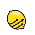 Lemon Pro: profesjonalne usługi IT dla firm