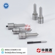 Common Rail Fuel Injector Nozzle D341