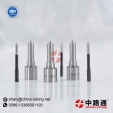 Common Rail Injector Nozzle 810P439092 & Common Rail Injector Nozzle D456
