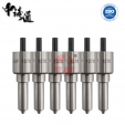 Diesel Injector Nozzles L244 Diesel Injector Nozzles W079
